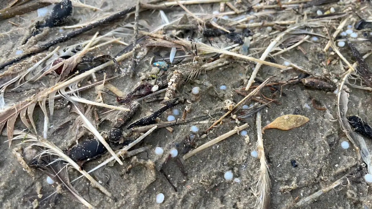 Hele vestkysten er ramt af plastikkugler, og det er 'en stort set umulig opgave'