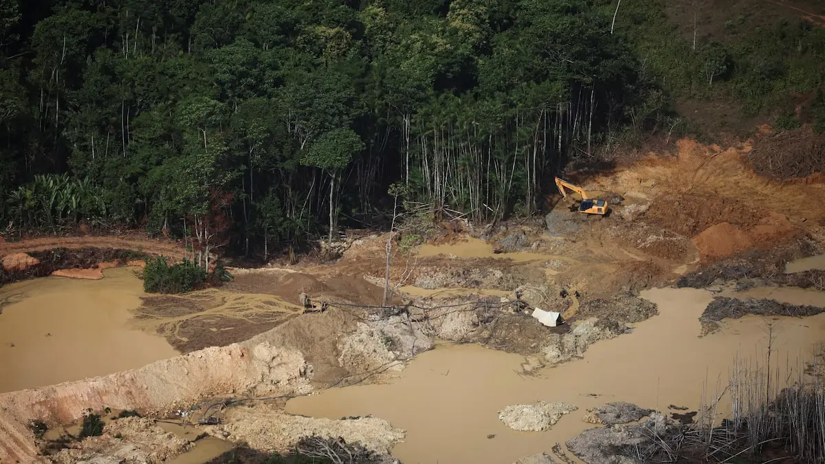 Bolsonaros forspring før anden runde af valget i Brasilien er dårligt nyt for Amazonas