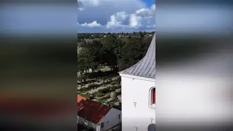 Nu kan du blive begravet under en træstub på kirkegården - TV 2