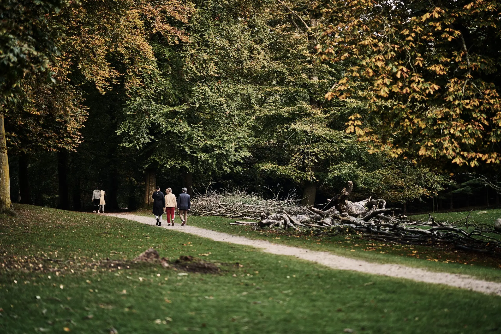 Stor guide til oplevelser i efterårsferien i Aarhus (2025)