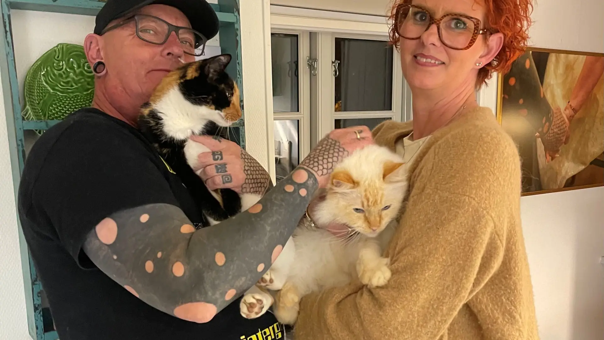 Nyt beredskab: Katteløbere skal hjælpe katte i nød