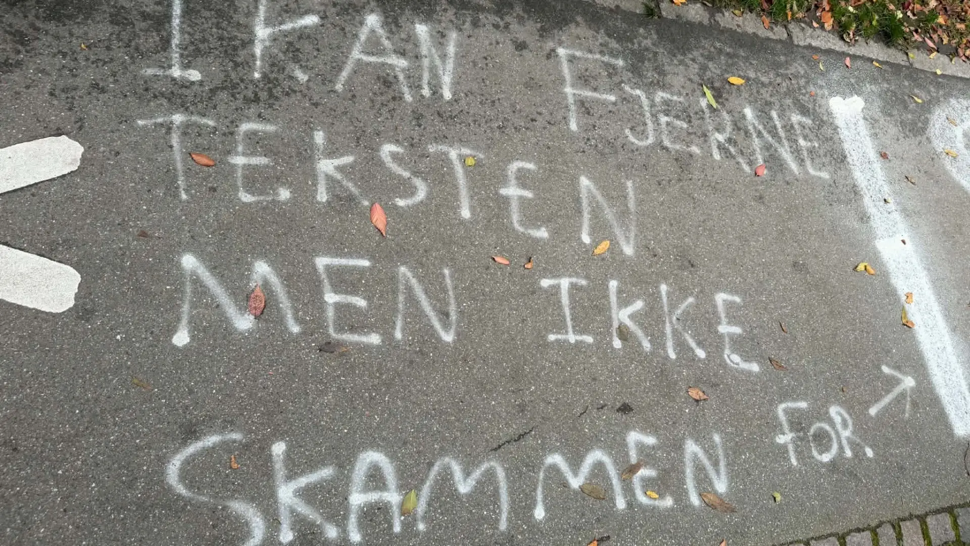 Nyt anti-Israel-budskab rammer Munke Mose: - Det er noget svineri