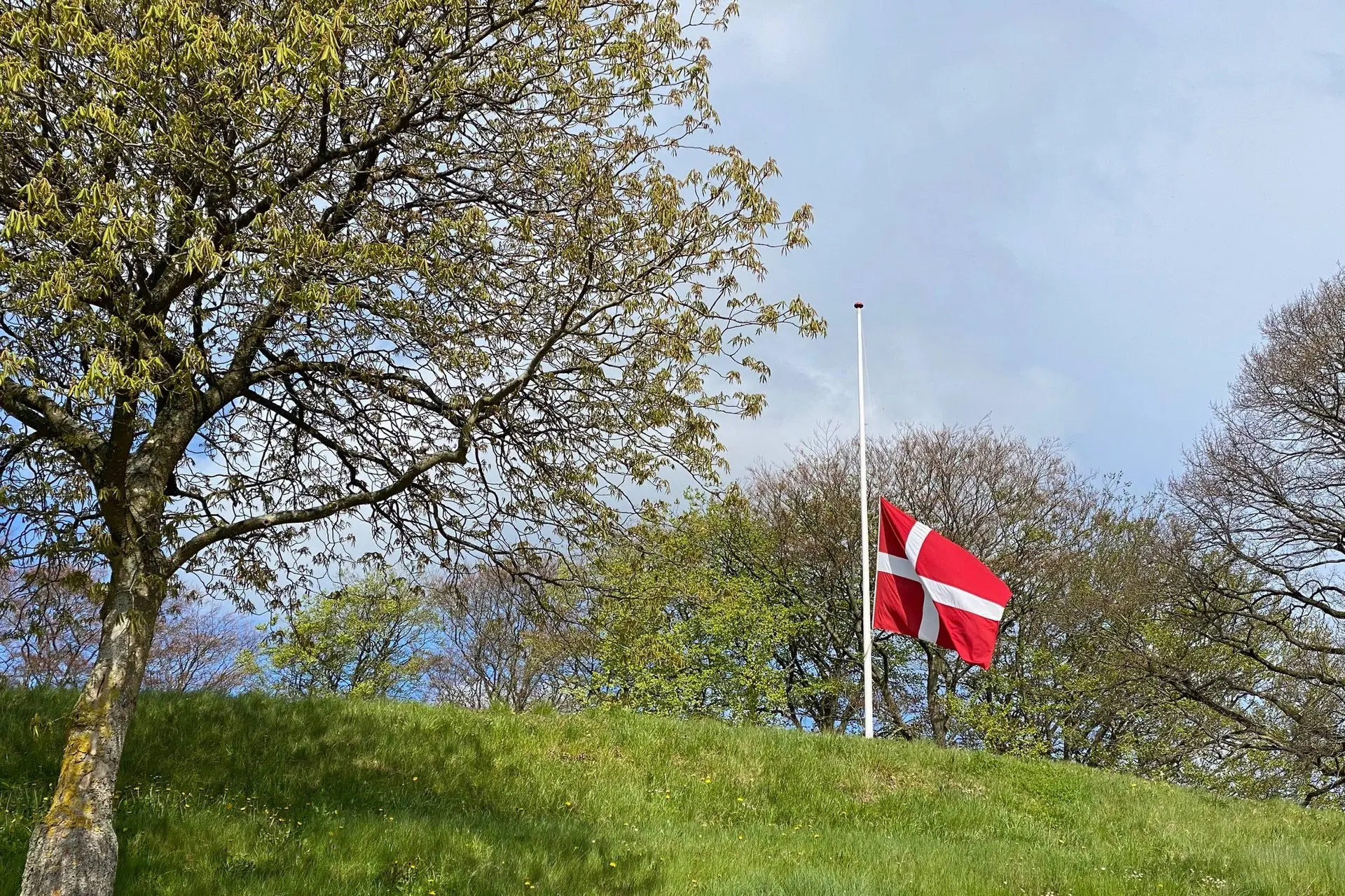 På Skærsø fandt han sin perle, og herfra blev han båret ud - Din Avis