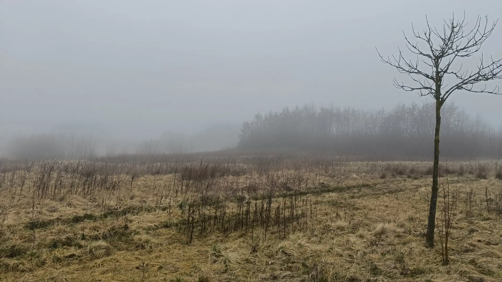 Her slutter pæn lørdag af med regn