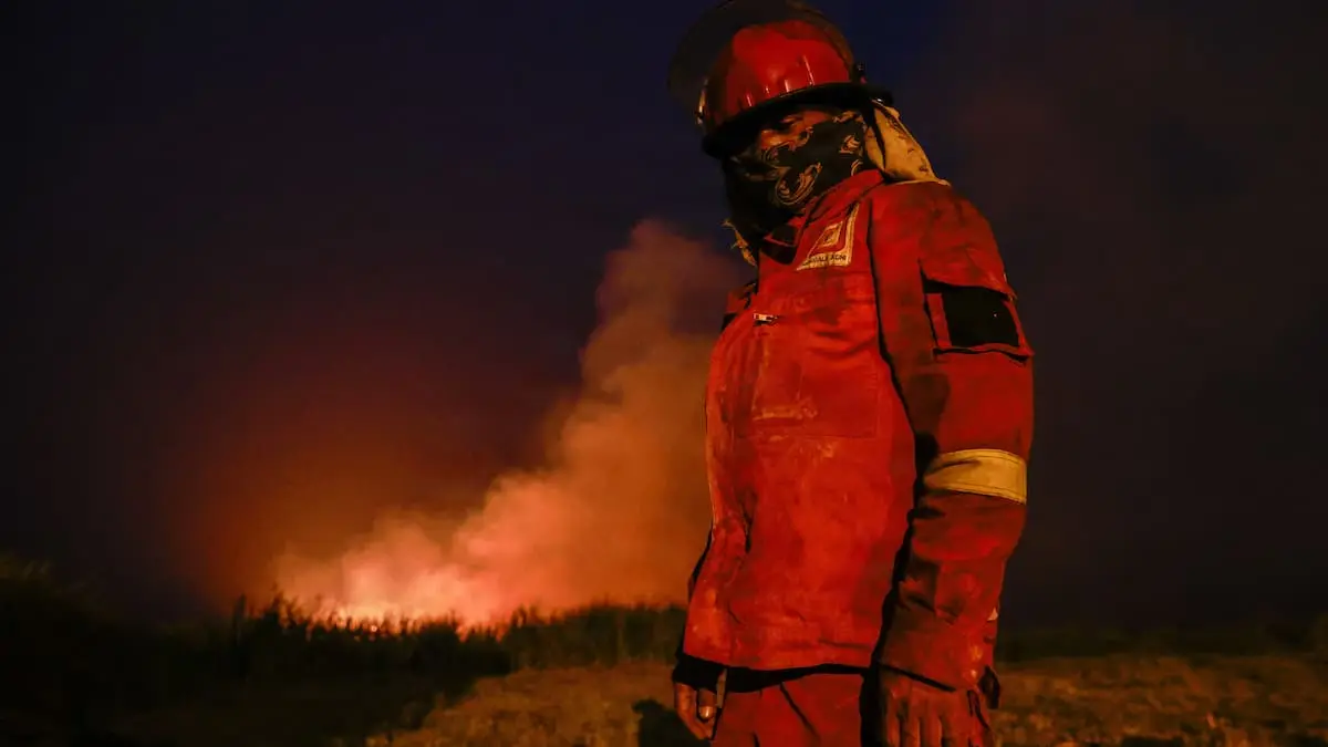 Regnskoven går op i flammer, mens det globale klima slår rekord