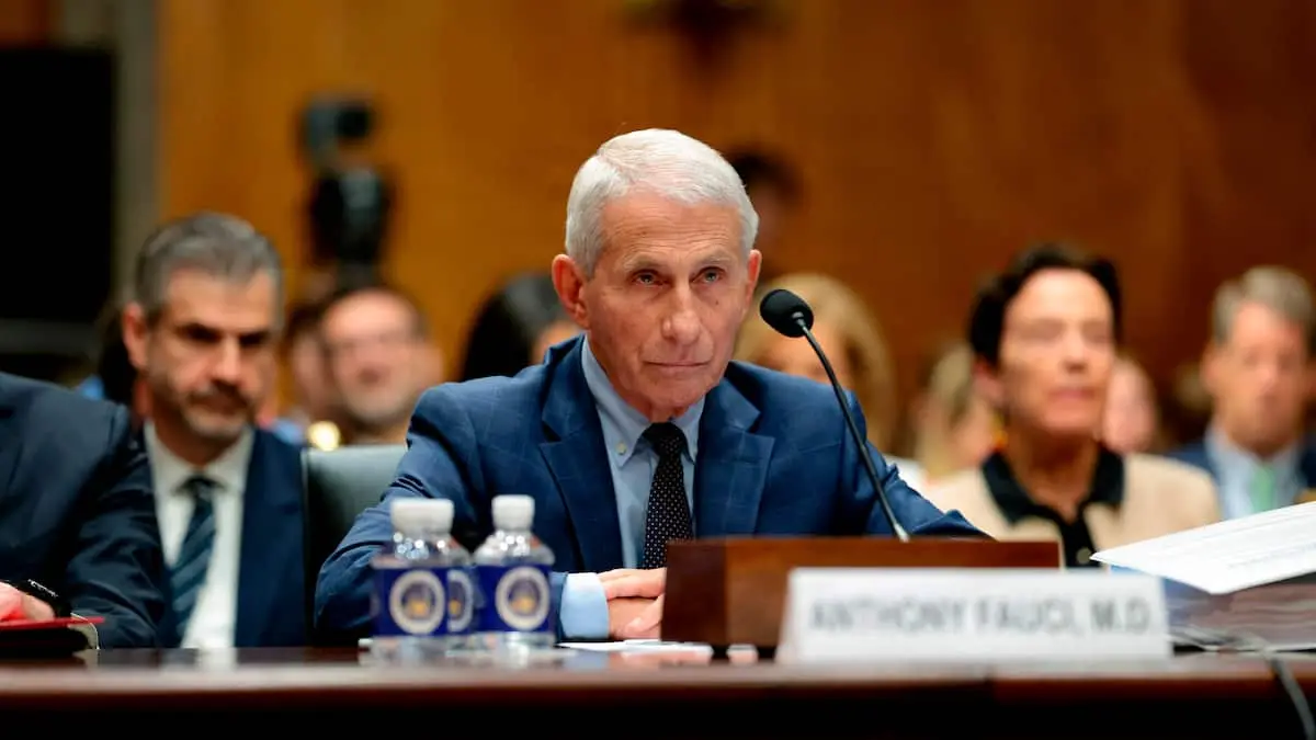 Fauci nægter at svare over 100 gange under høring i Senatet - republikanere vil erklære ham skyldig i foragt