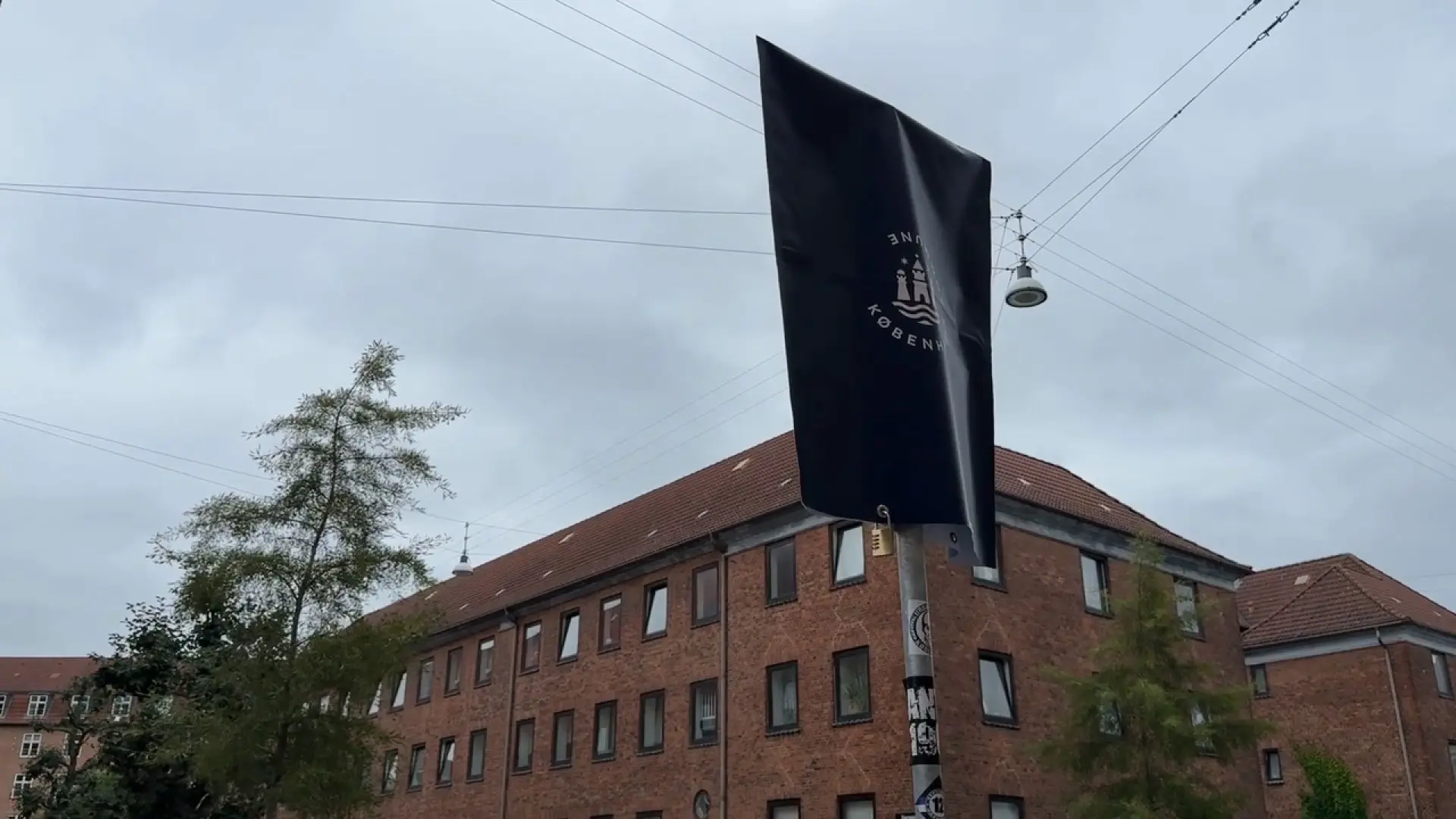 Kritiserede p-pladser er ophævet: Se om din gade er på listen