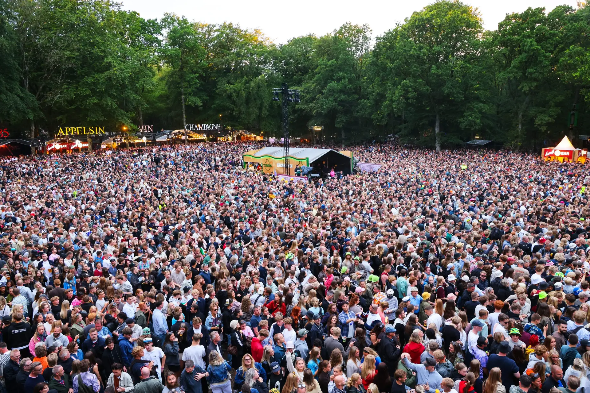 Nibe Festival meldte udsolgt på rekordtid: Torsdag får du en ny chance