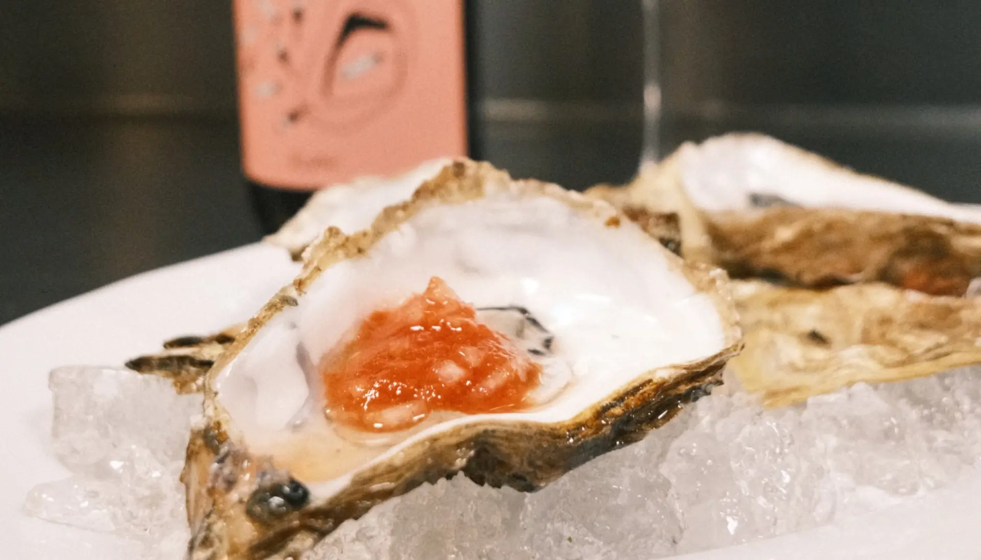 CONCHA: Ny restaurant på Christianshavn (2026)