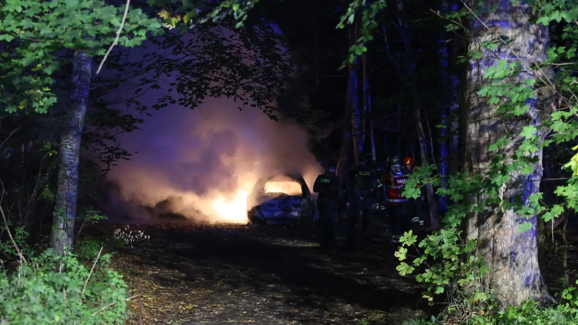 Udbrændt bil i skov: Politiet tror, den er sat i brand