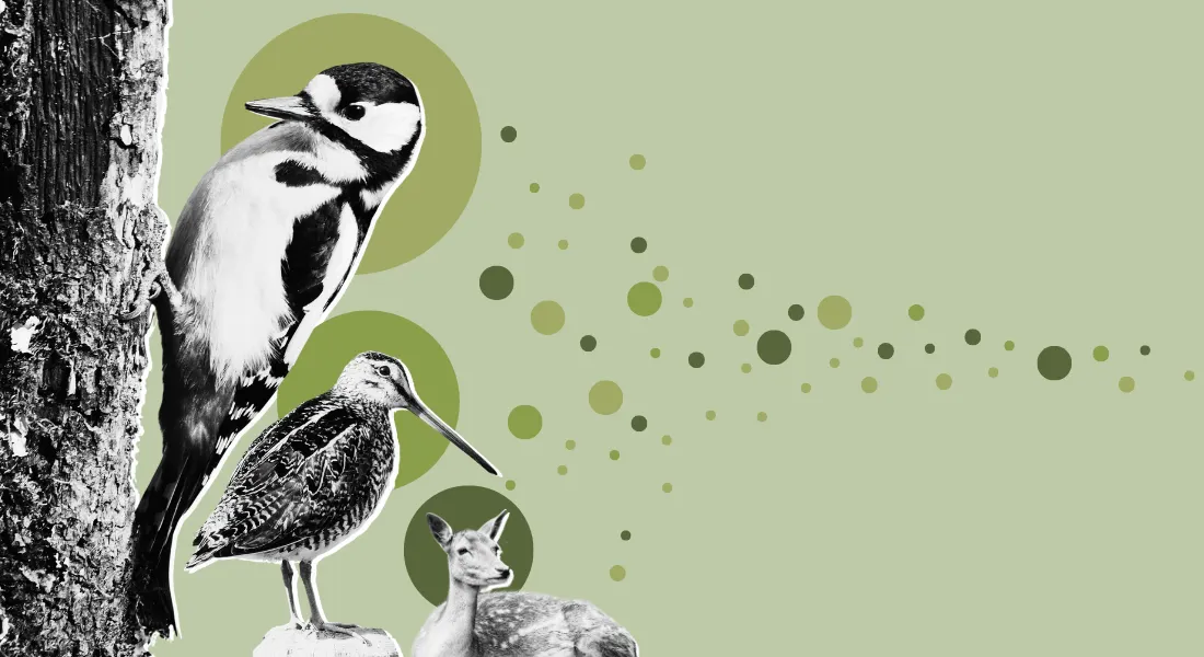 DNA vacuum reveals local wildlife in Danish nature – University of Copenhagen