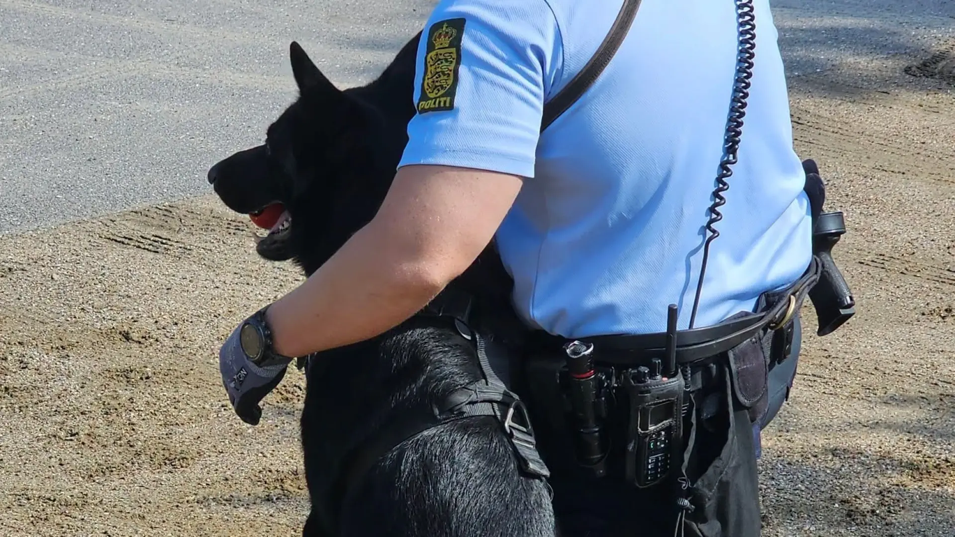 Hund snusede tyv op under træning