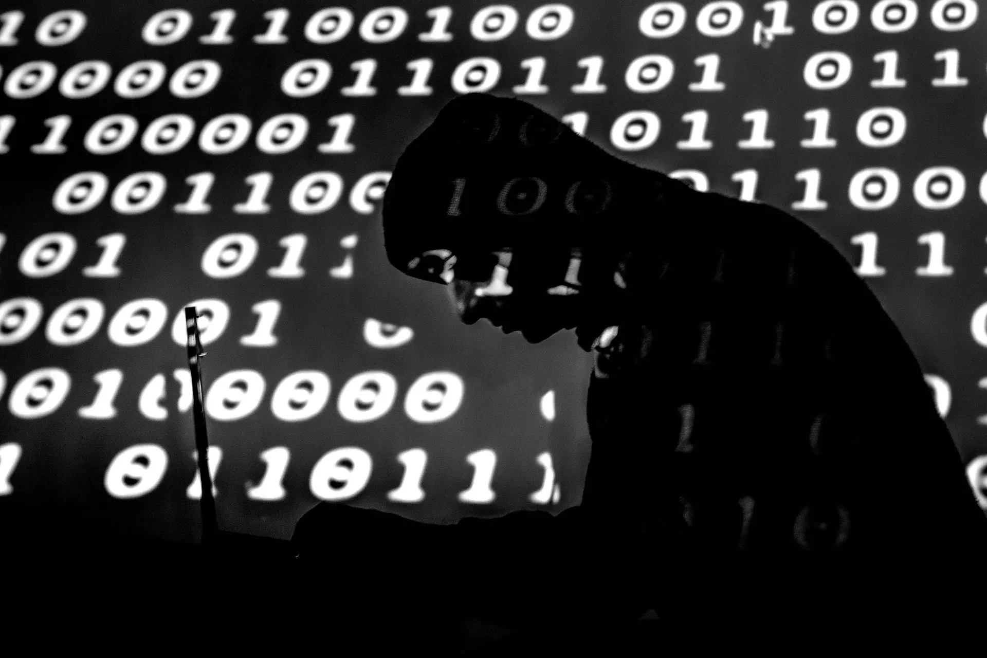 Hacker hævder at stå bag CPR-angreb: Kom ind via simpelt password - Din Avis