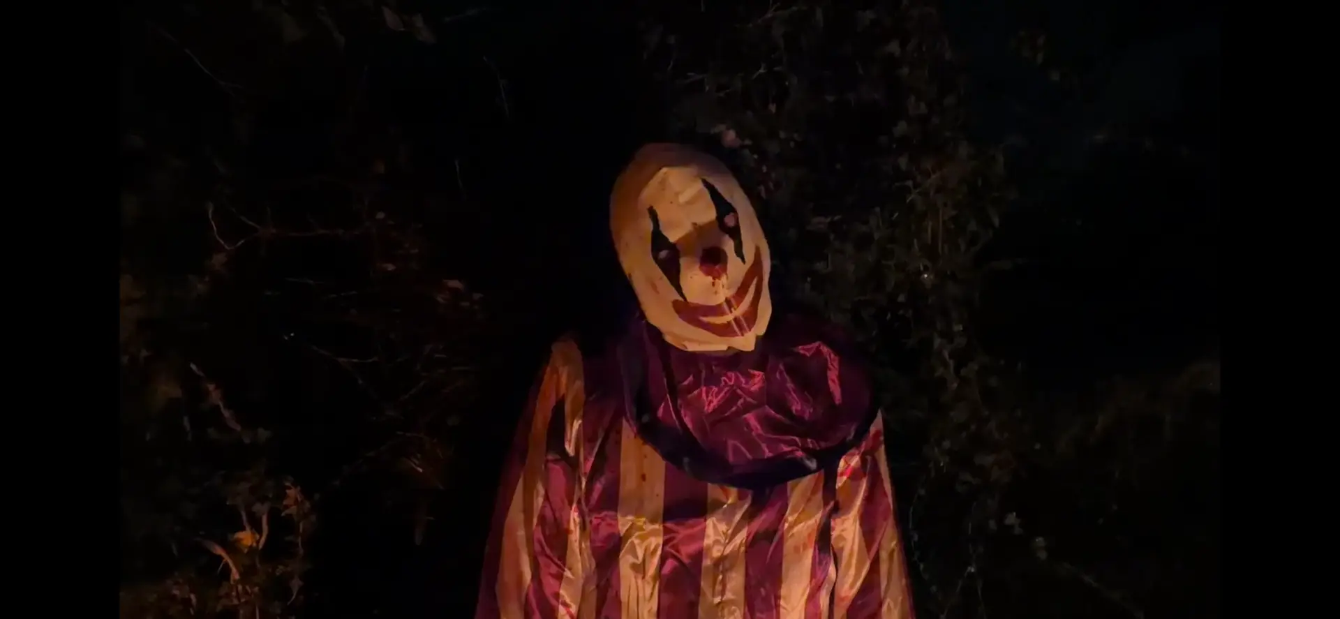 Tør du prøve?: Aalborg-have omdannes til creepy klovnecirkus