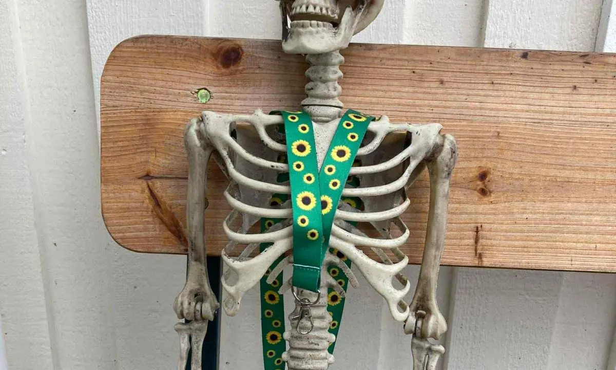 Jonas og Sofie inviterede 'solsikker' til halloween