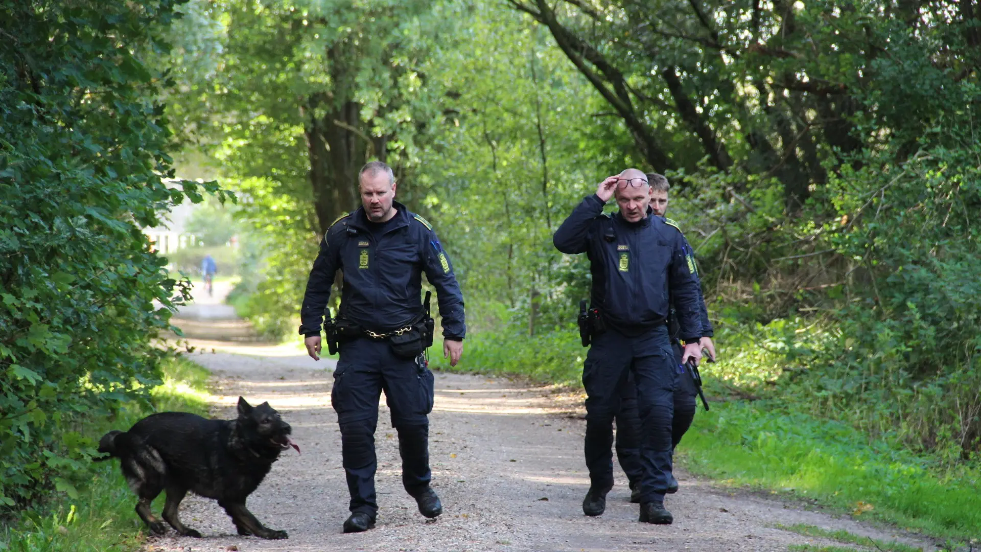 Politiet undersøger skovområde ved Ølgod