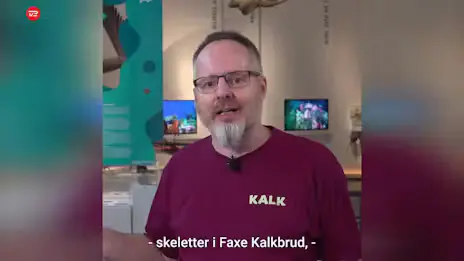 Vild opdagelse i kalkbrud - TV 2