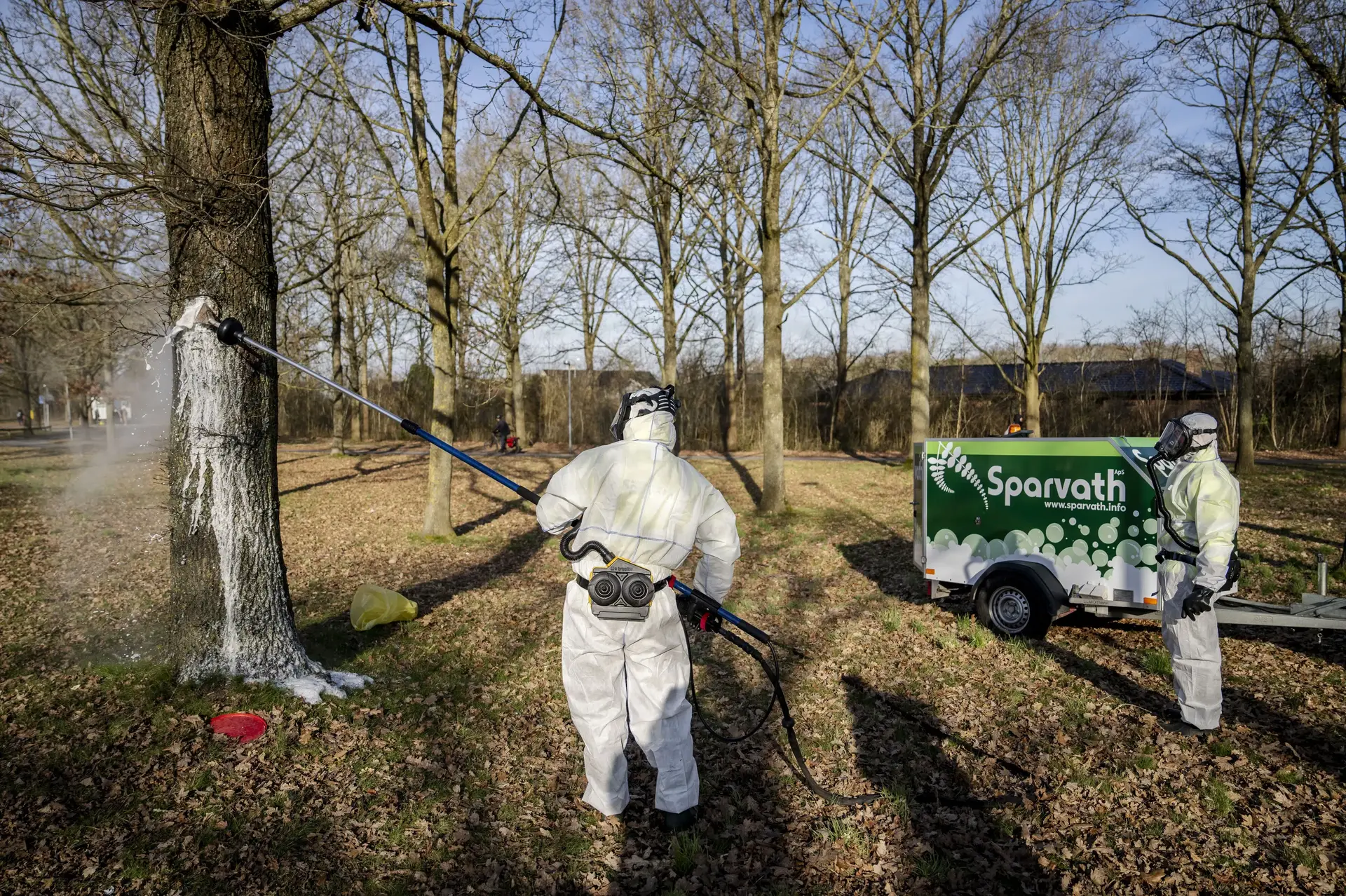 Indsats mod larver koster Odense Kommune 15 millioner