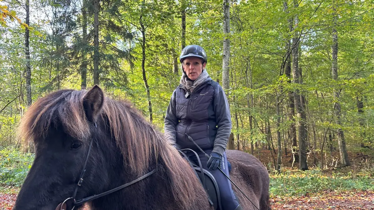 Kritik af ny naturnationalpark: Rytter frygter at blive overfaldet af fritgående hingste
