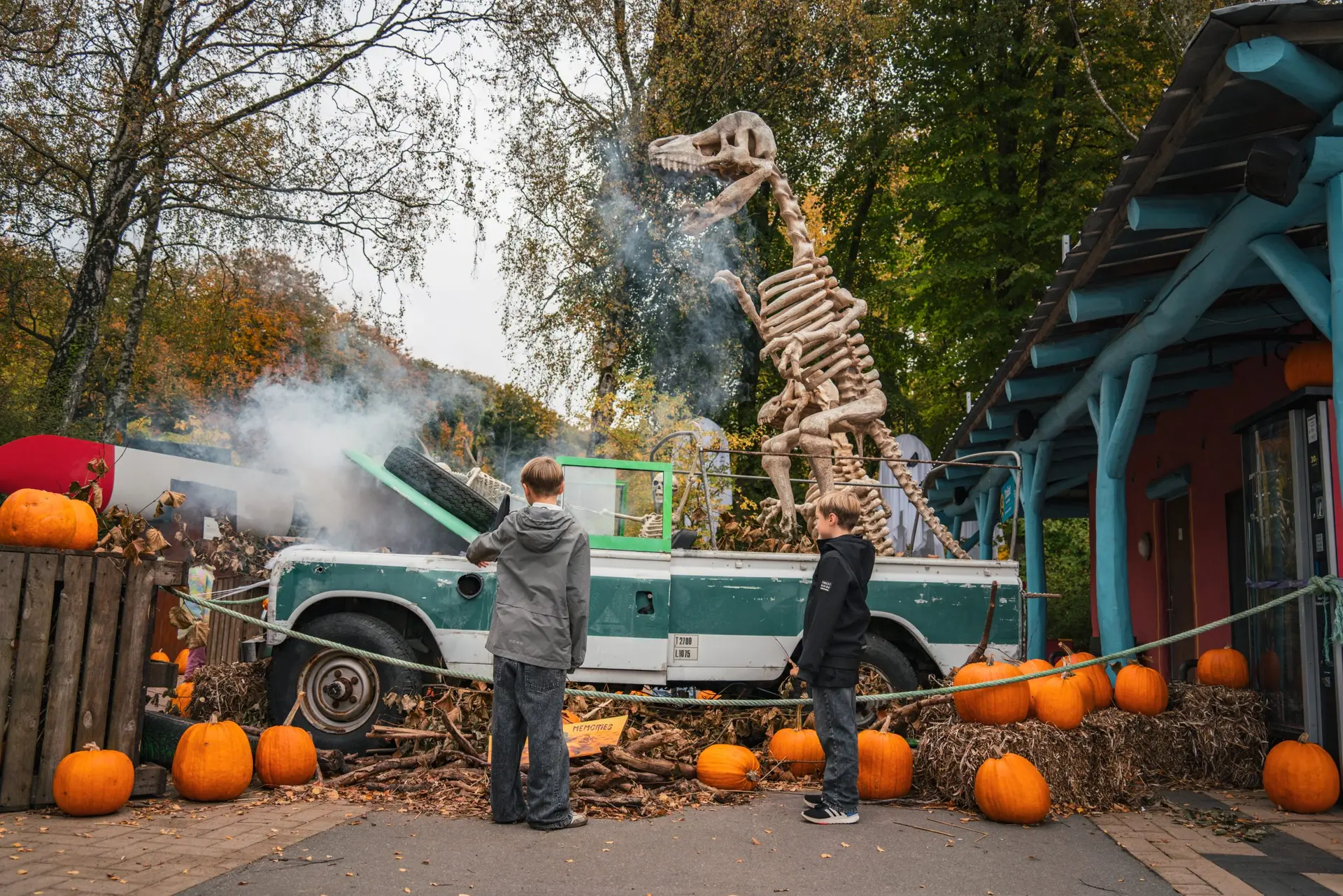 Nordjyllands VILDESTE Halloween-fest: Græskar, gys og masser af nyheder i Aalborg Zoo
