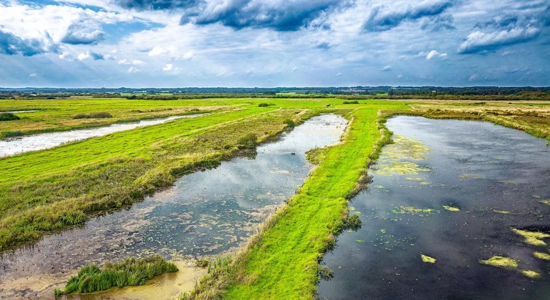 New study pinpoints Europe’s most critical wetlands for climate action – University of Copenhagen