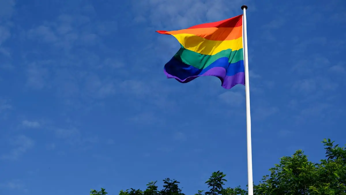 Accepterer du homoseksualitet? Venstre vil have svar fra skoleelever i Odense