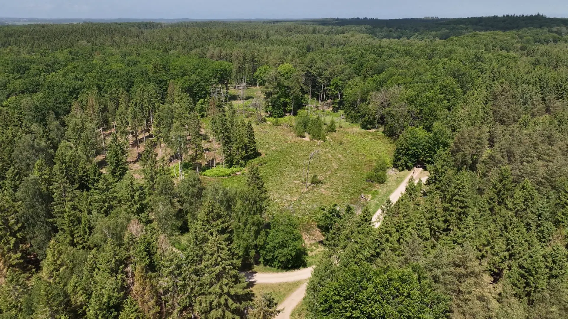 Eksperter kortlægger arter inden åbning af naturnationalpark