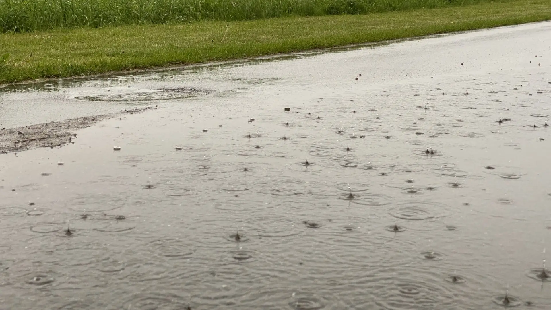 Regn på vej - så meget ventes at falde