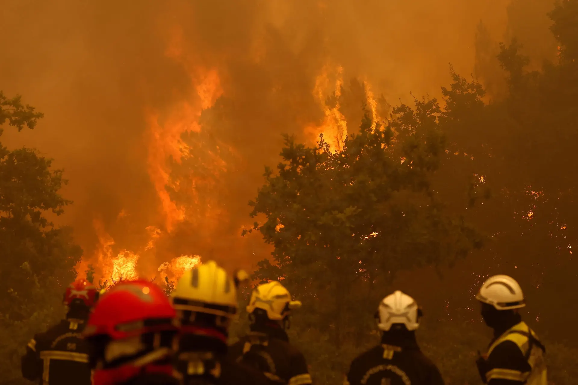 OVERBLIK: Naturbrande hærger i Frankrig og Spanien | Internationalt | Samfund | Berlingske