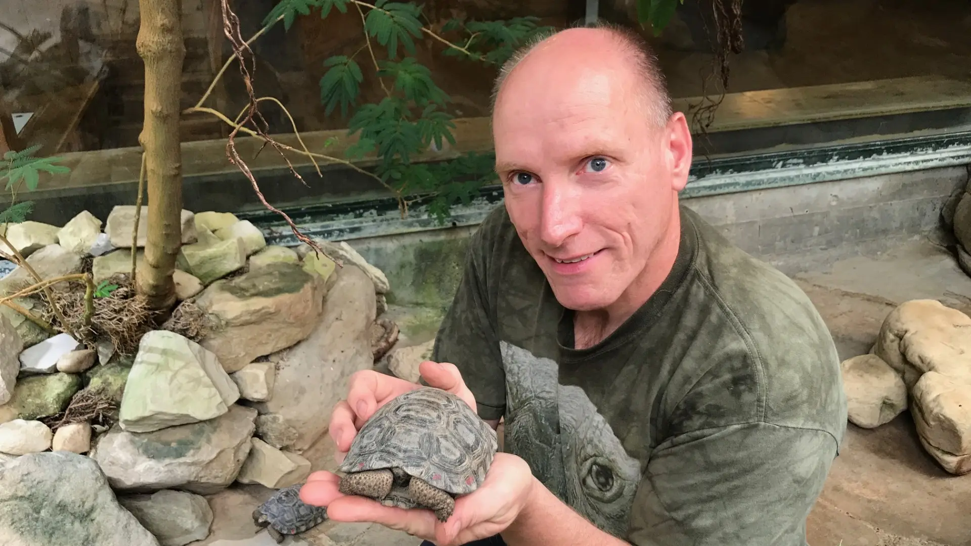 Bakker op om zoo-direktør: - Det er ham, der har skabt det her