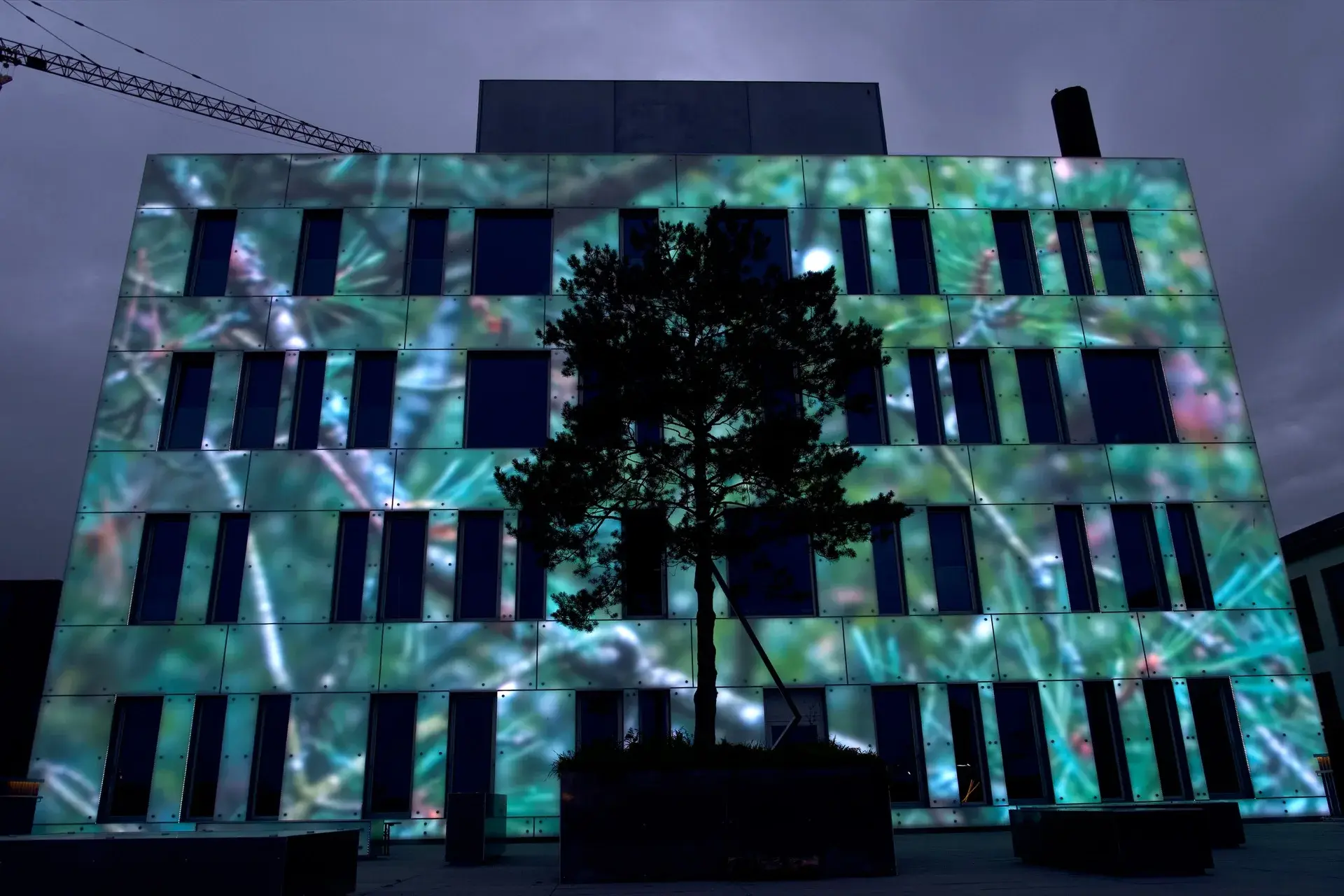 Lyskunst: The Garden in the Machine