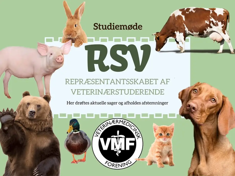 VeterinærMedicinsk Forening (VMF)