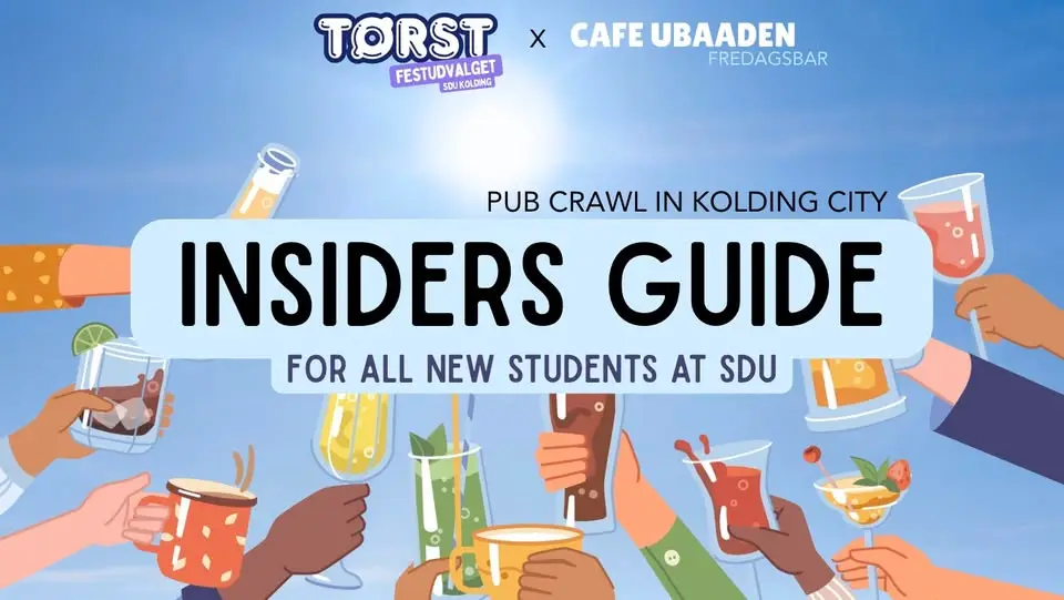 🍻🌟 INSIDER'S GUIDE 🌟🍻 SDU Kolding