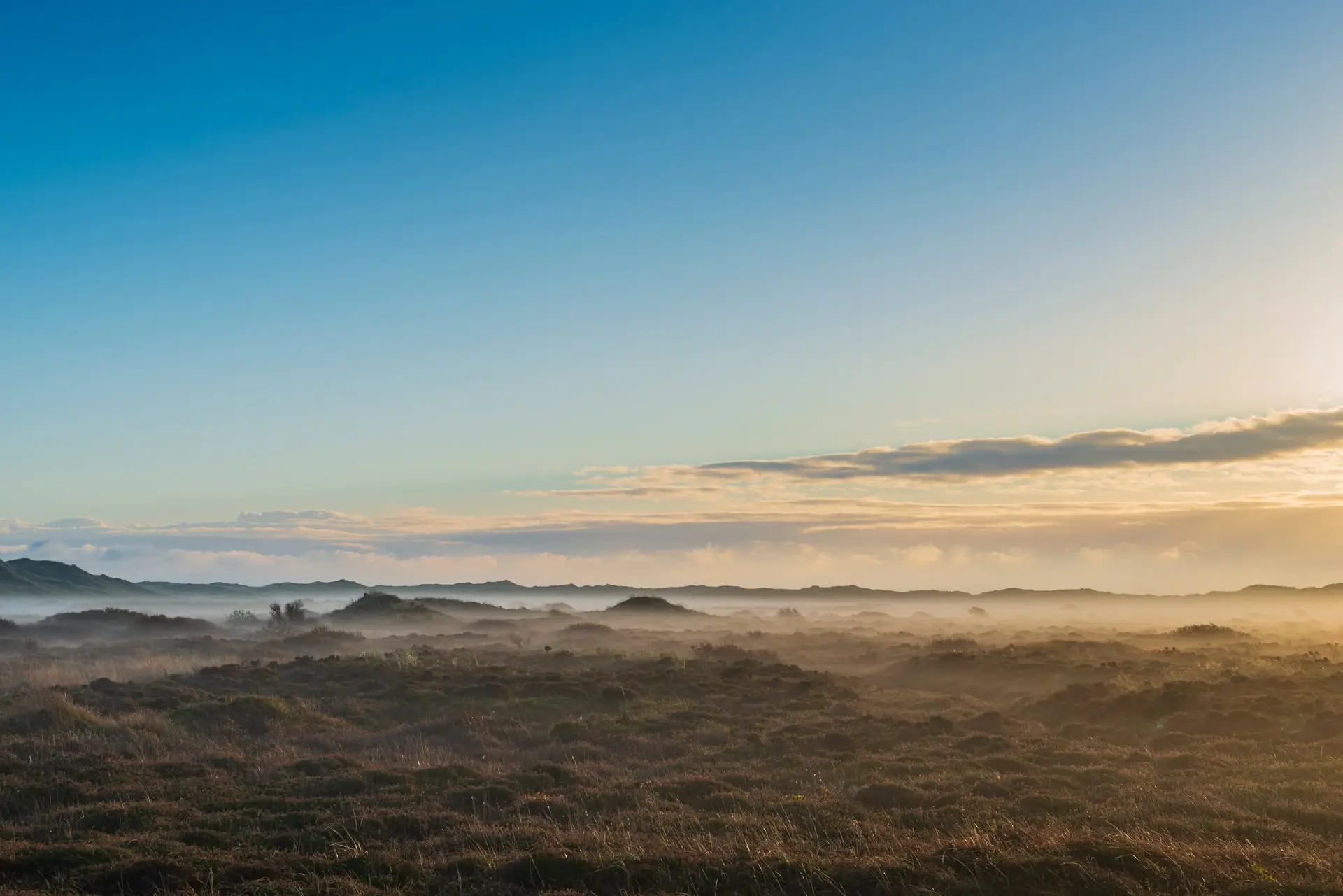 Morgensang i Skagen