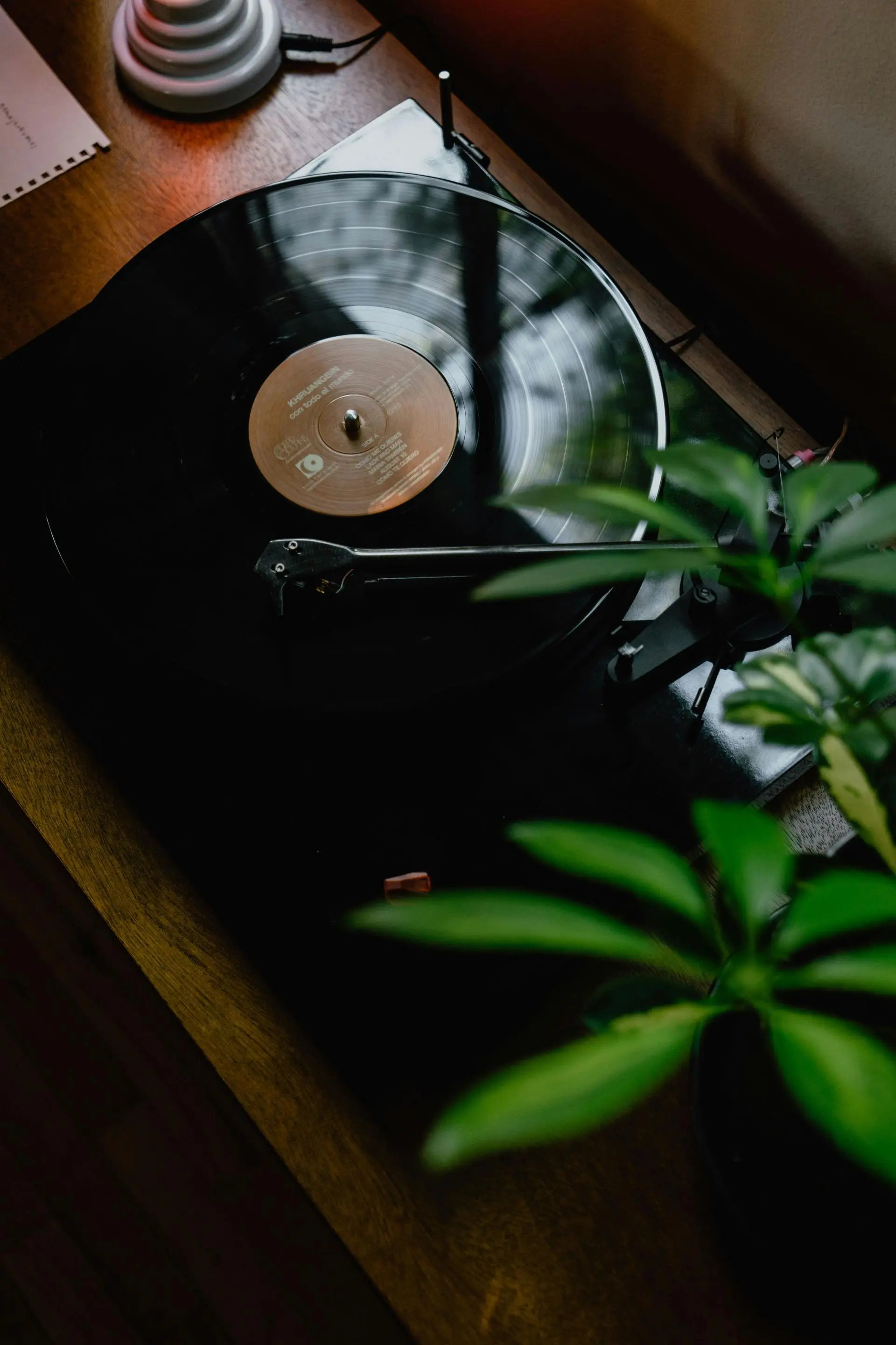 Bibliotekets musikkreds