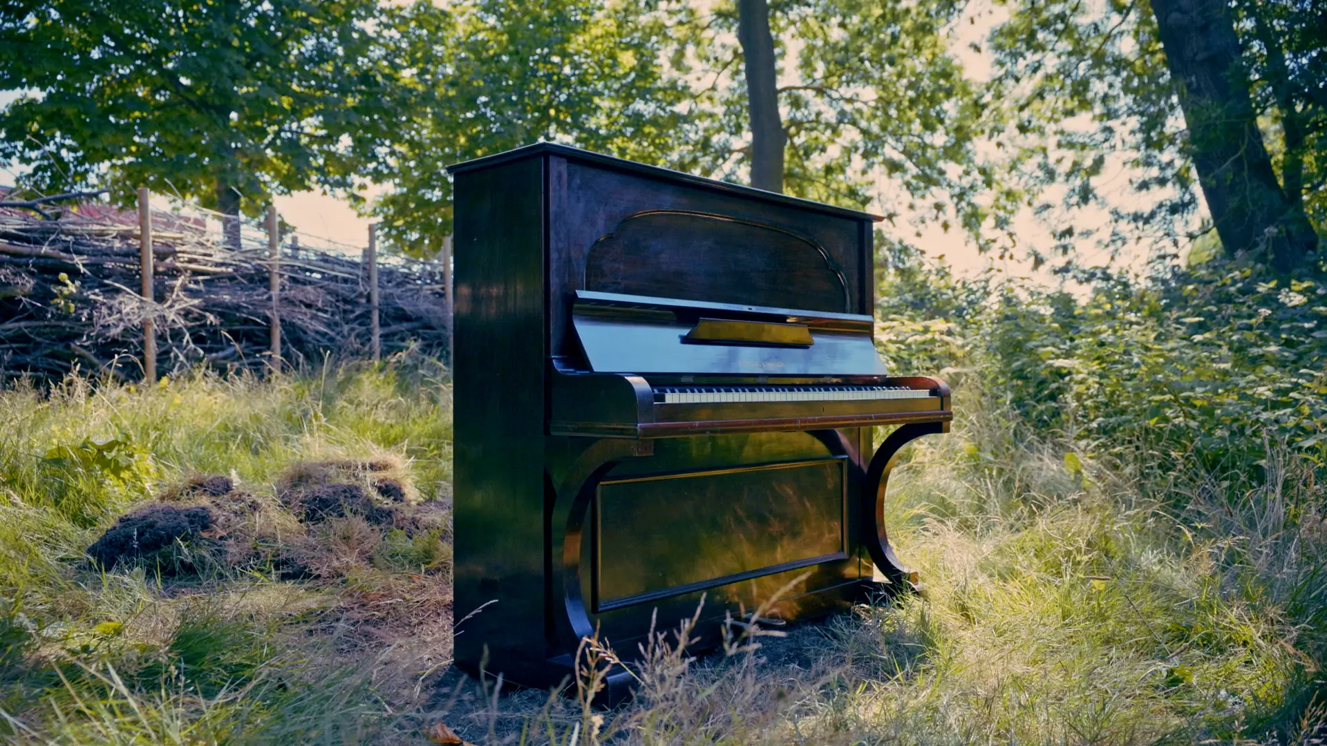 Piano Garden
