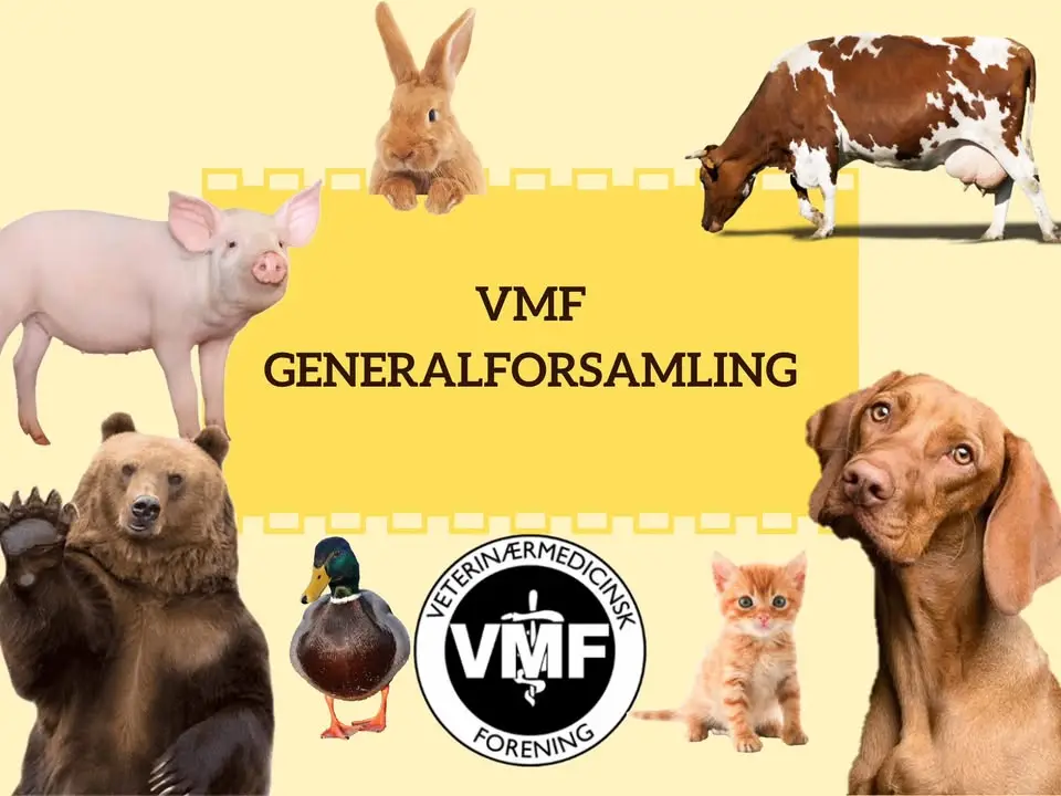 VMF Generalforsamling 2026