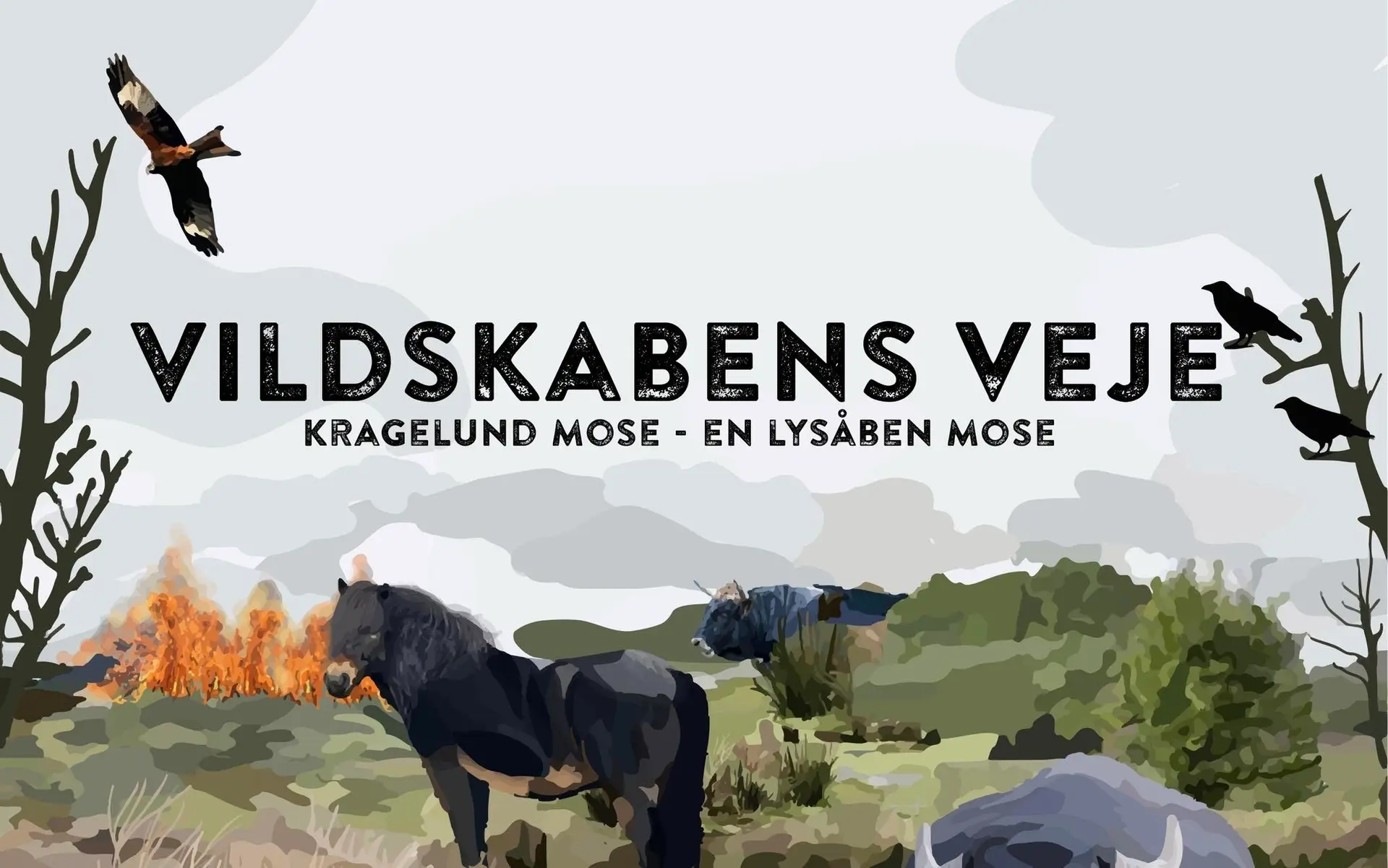 GRØN BIO x DN: VILDSKABENS VEJE - mød Martin Sandager, Kragelund Mose og instruktør Jeppe Svendsen
