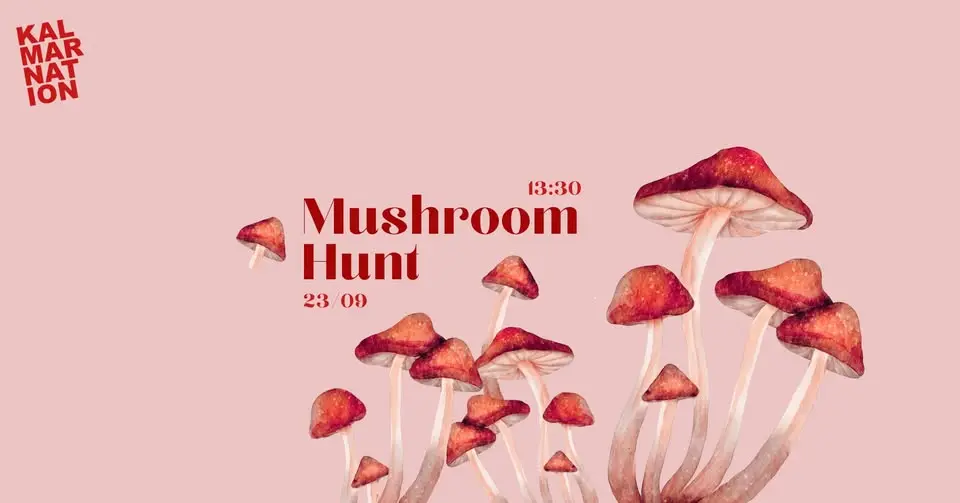 Mushroom Hunt