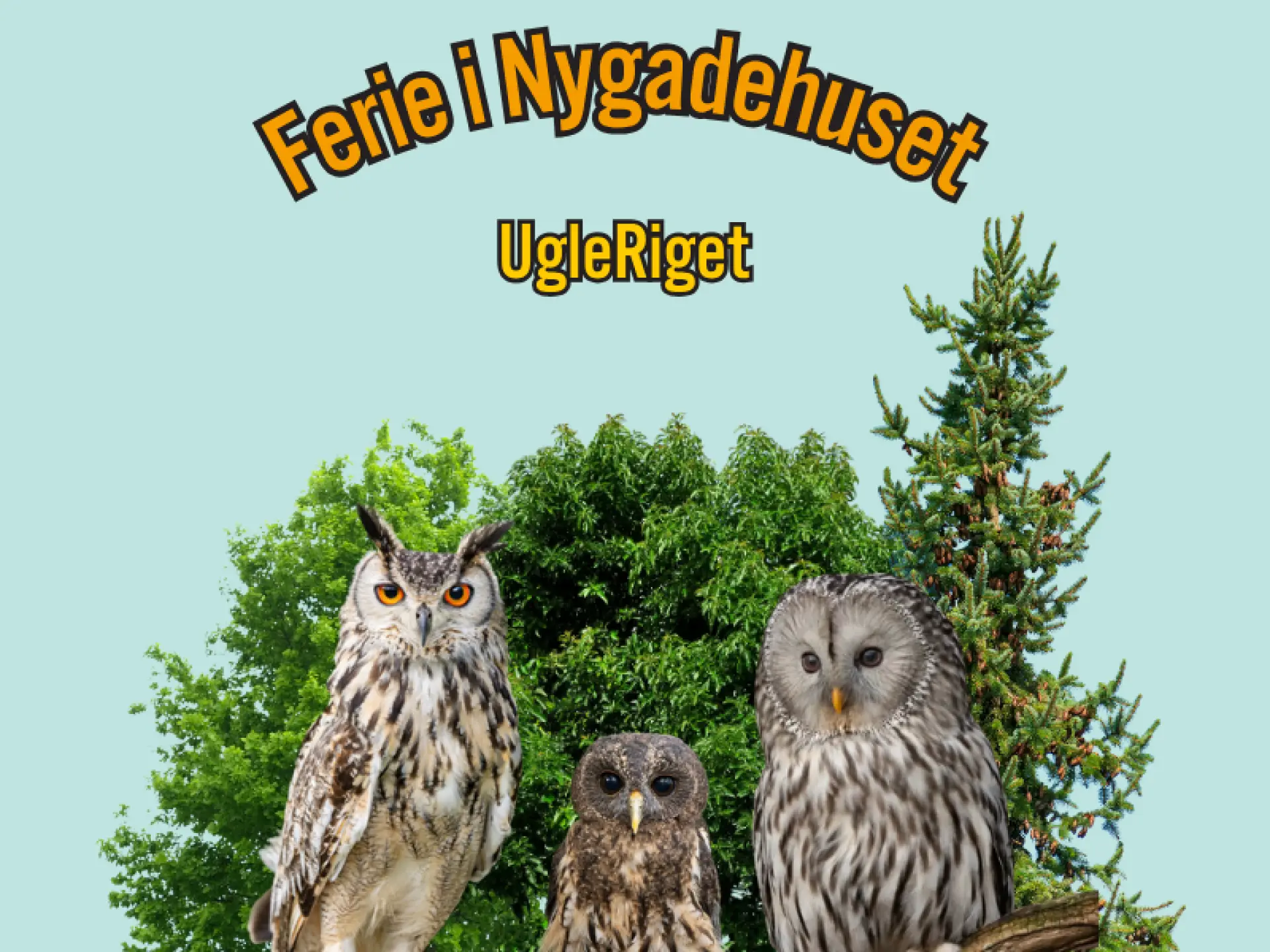 UgleRiget | NygadeHuset