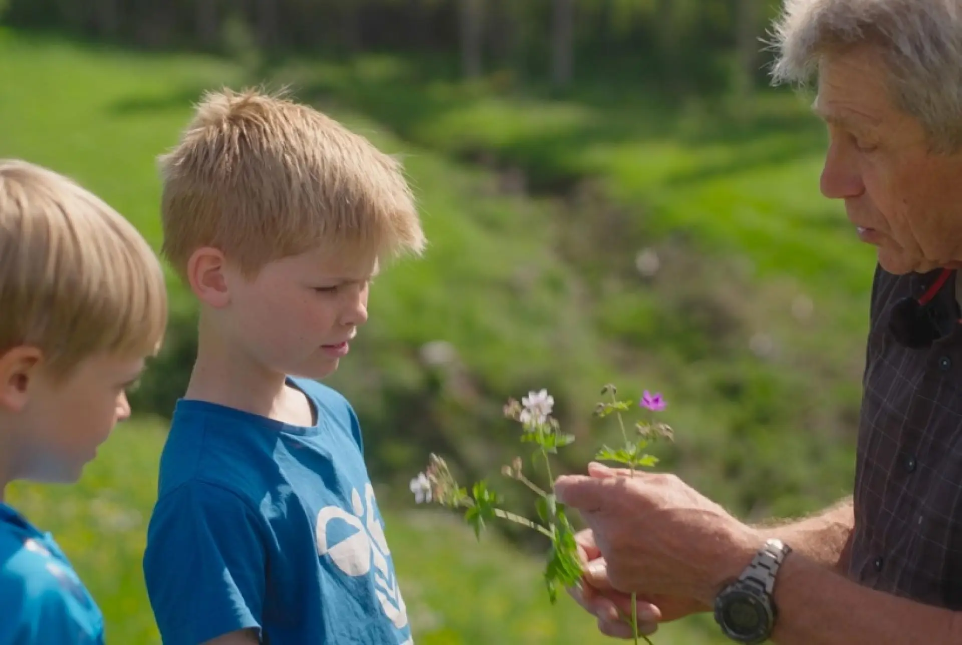 Filmvisning og samtale: ILDEN, VANDET, JORDEN, LUFTEN