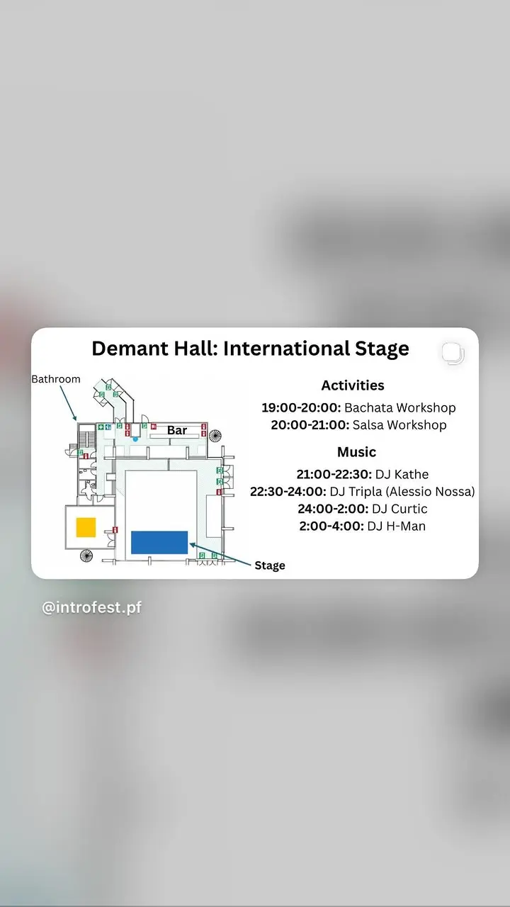 Introfest - Demant Hall: International Stage