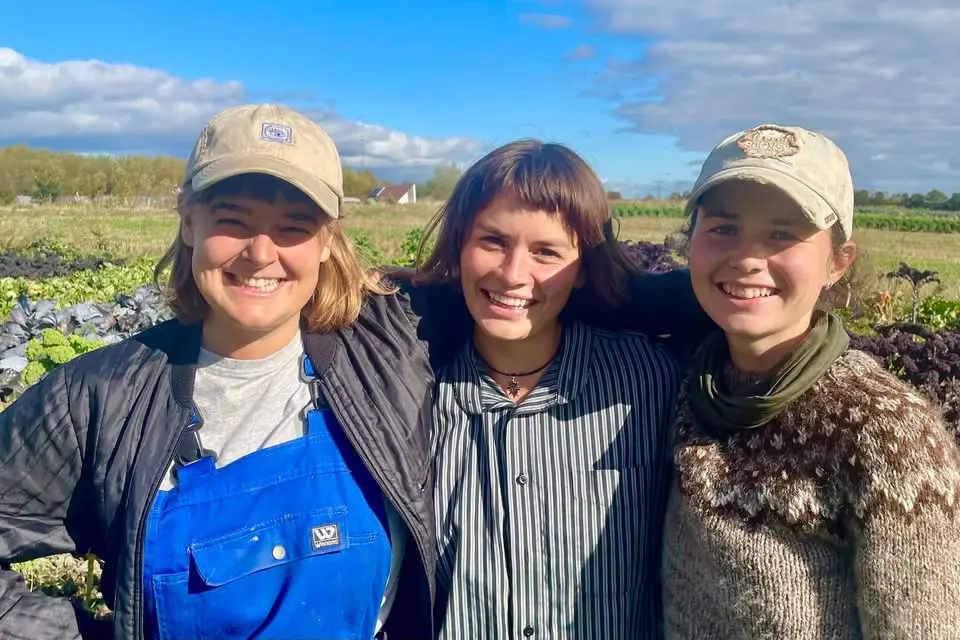 GRØN BIO X TALLERKENSMÆK: LANGBORDSMIDDAG OG DOKUMENTAR OM FØDEVARESYSTEMET: WE ARE THE LAND 🌻