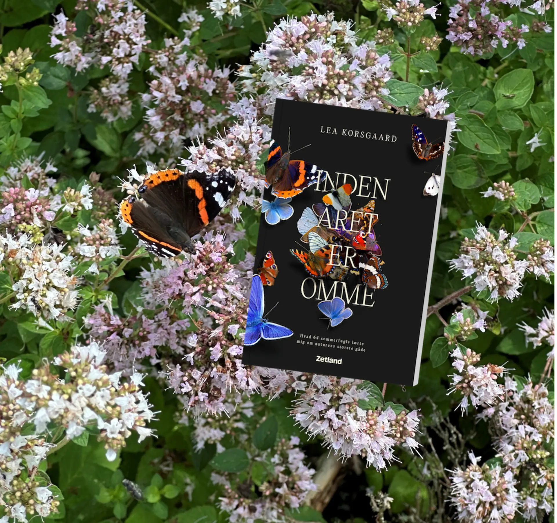 Litteratur i Åmosen