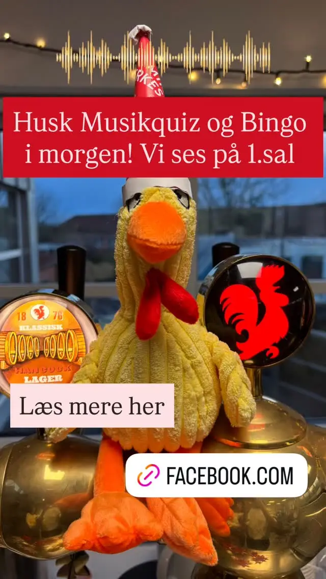 Musikquiz og Bingo