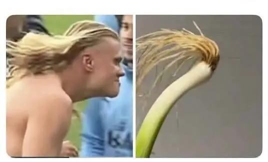 Haaland Lookalike konkurranse
