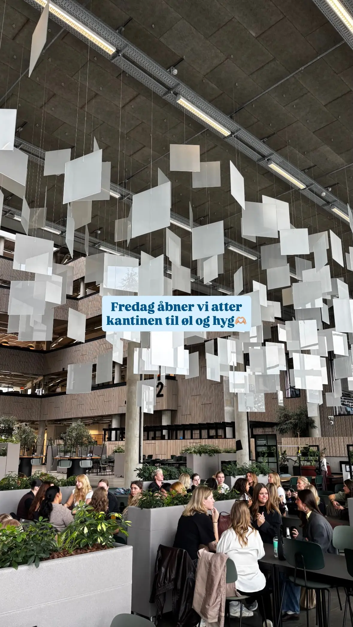 Fredagsbar - Øl og hyg