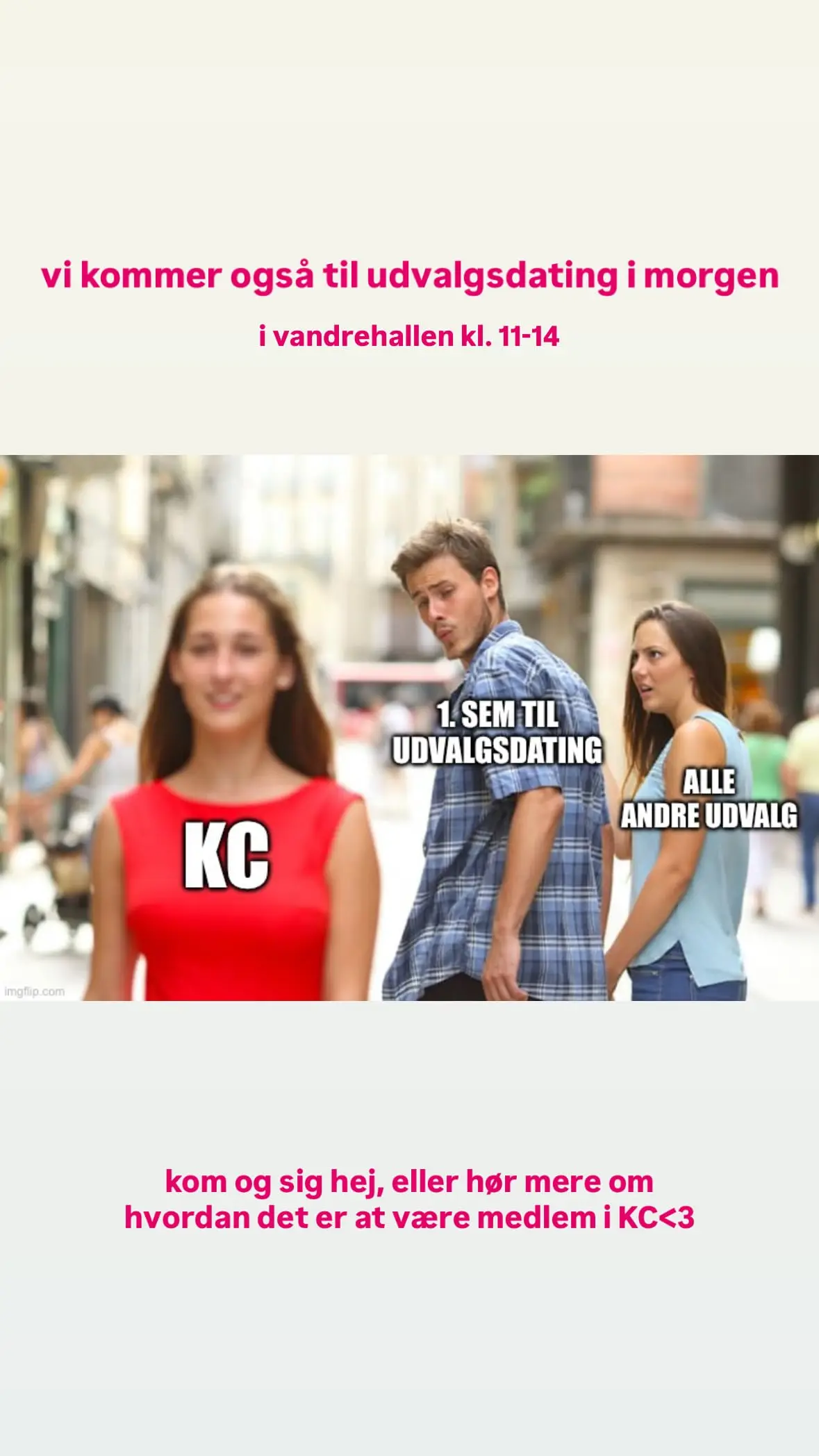Udvalgsdating