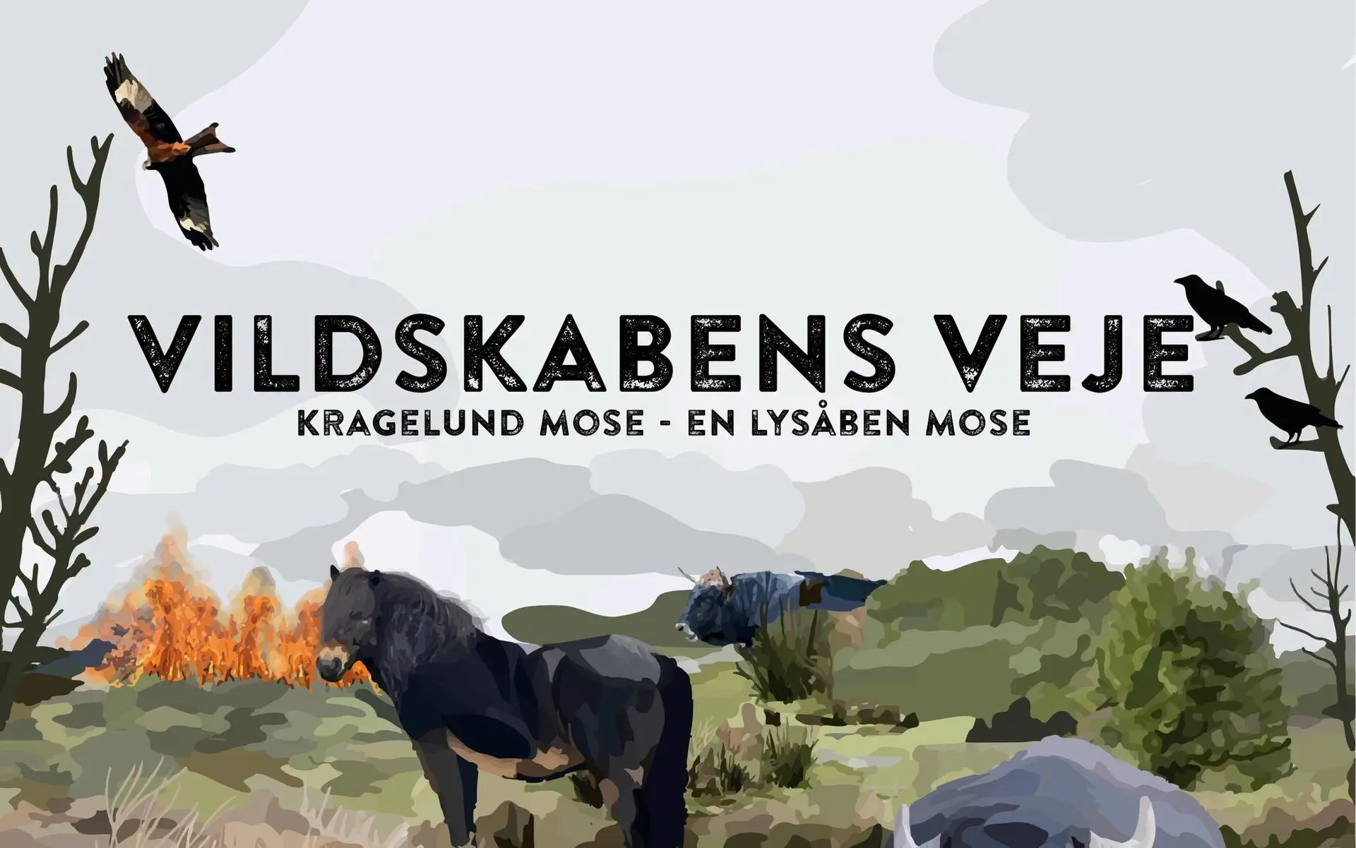 GRØN BIO x DN: VILDSKABENS VEJE - mød Martin Sandager, Kragelund Mose og instruktør Jeppe Svendsen