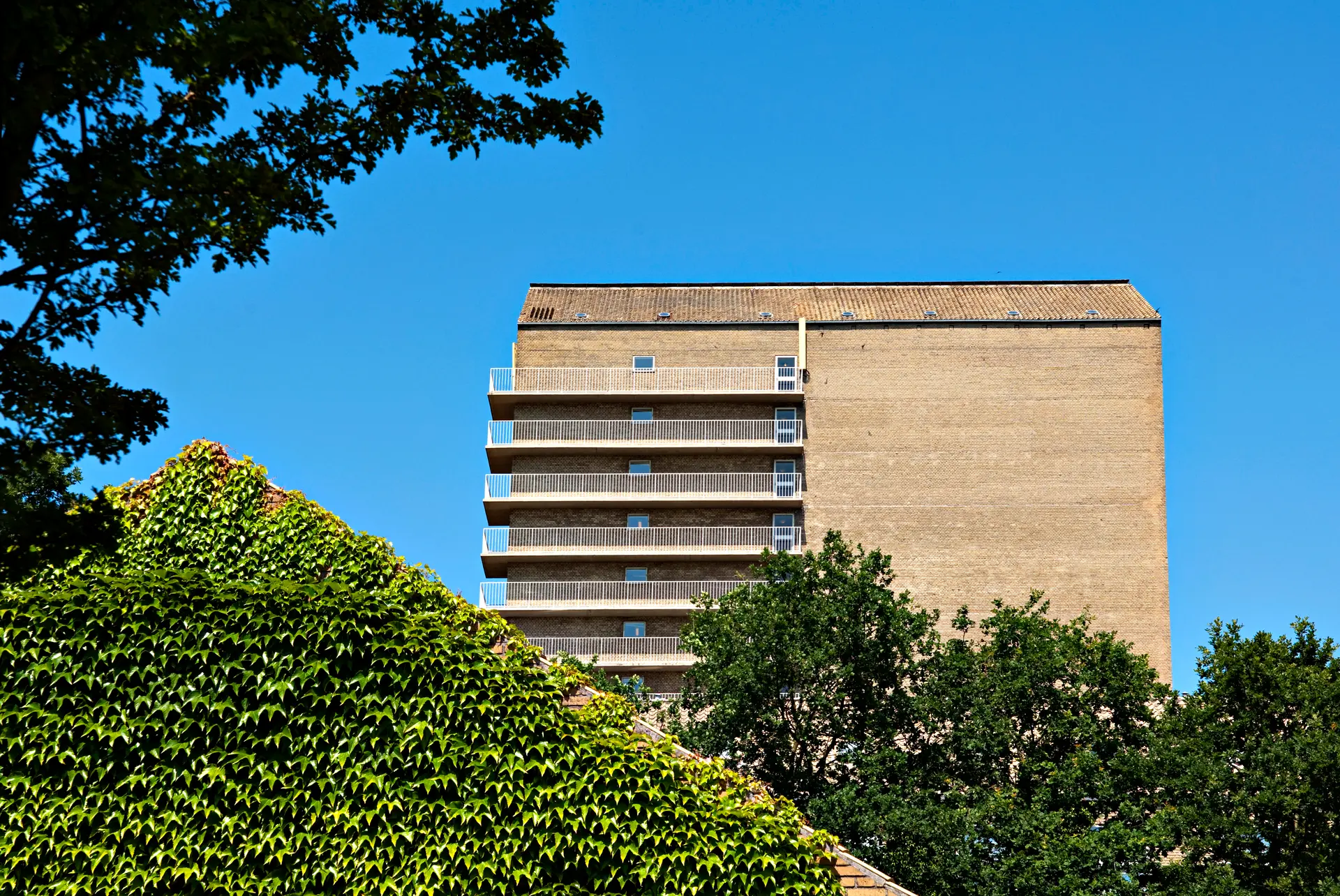 Aarhus Festuge på Det Kgl. Bibliotek: Se, hvad du kan opleve på biblioteket under festugen